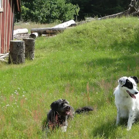 Casa vacanze Bispinger-heidezauber-haus-weissdorn Bispingen