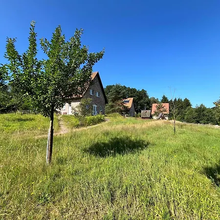Bispinger-heidezauber-haus-weissdorn *